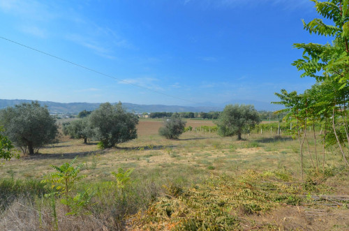 Casale Colonico in vendita a Monteprandone