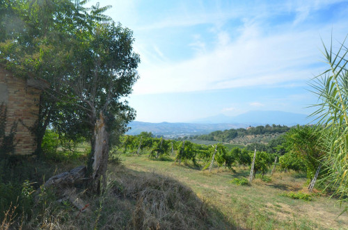 Casale Colonico in vendita a Spinetoli