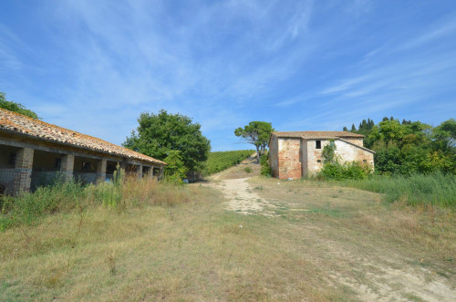 Casale Colonico in vendita a Spinetoli