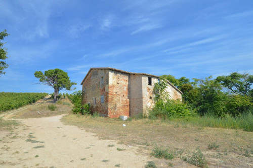 Casale Colonico in vendita a Spinetoli