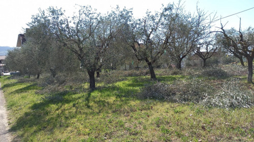 Terreno Edificabile Residenziale in vendita a Colli del Tronto