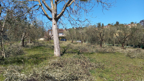 Terreno Edificabile Residenziale in vendita a Colli del Tronto