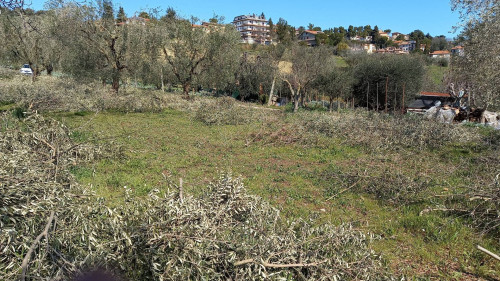 Terreno Edificabile Residenziale in vendita a Colli del Tronto