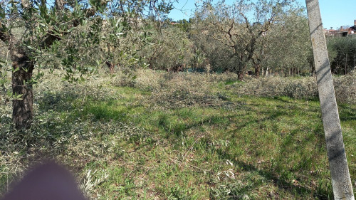 Terreno Edificabile Residenziale in vendita a Colli del Tronto