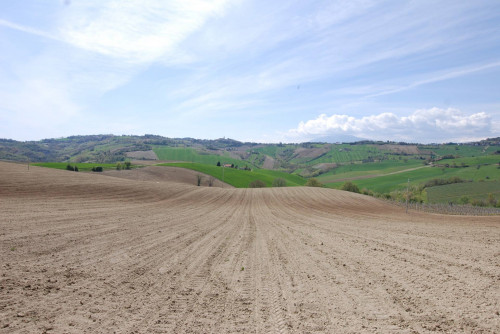 Casale Colonico in vendita a Castignano