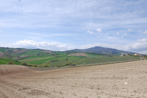 Casale Colonico in vendita a Castignano