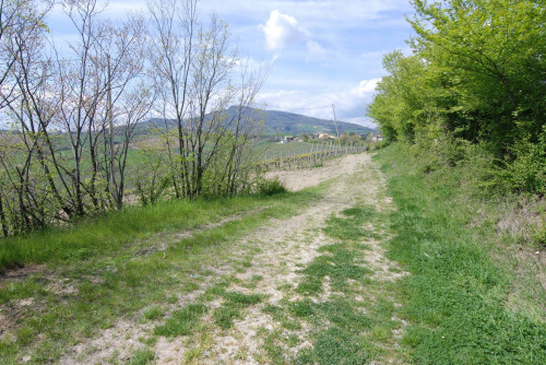 Casale Colonico in vendita a Castignano