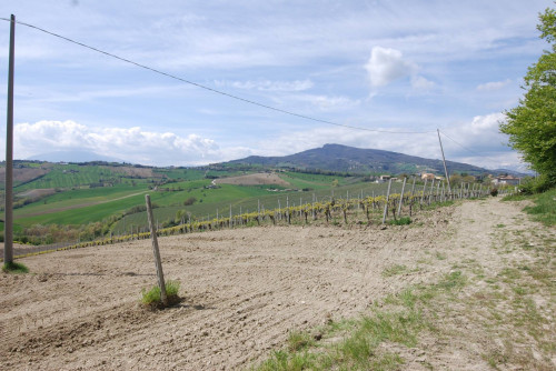 Casale Colonico in vendita a Castignano