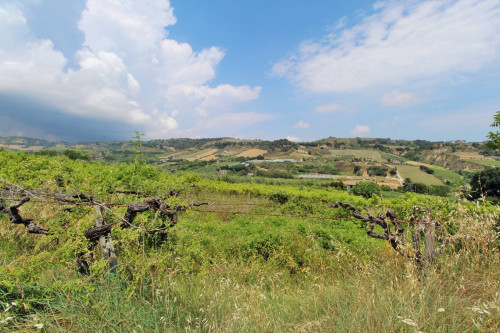 Terreno industriale in vendita a Acquaviva Picena (AP)