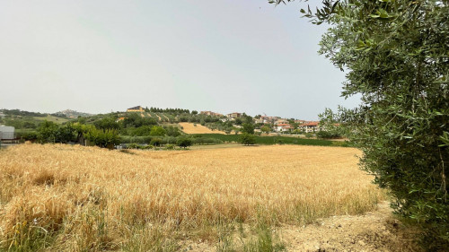 Terreno Edificabile Residenziale in vendita a Monteprandone