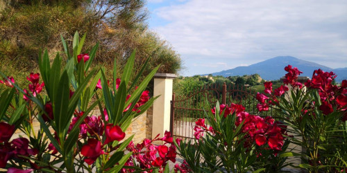 Casale Colonico in vendita a Ascoli Piceno