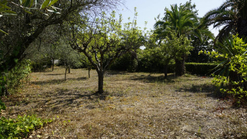 Casale Colonico in vendita a Ripatransone