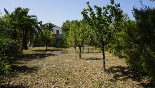 Casale Colonico in vendita a Ripatransone