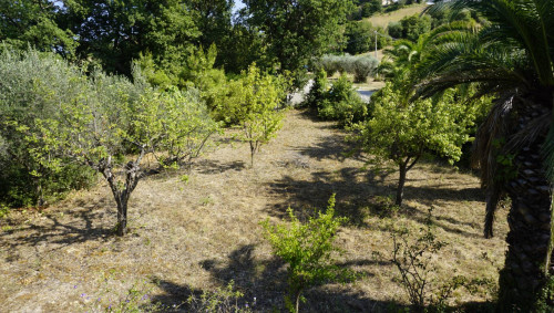 Casale Colonico in vendita a Ripatransone