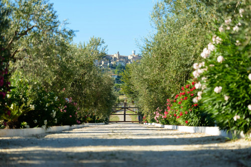 Casale Colonico in vendita a Colonnella