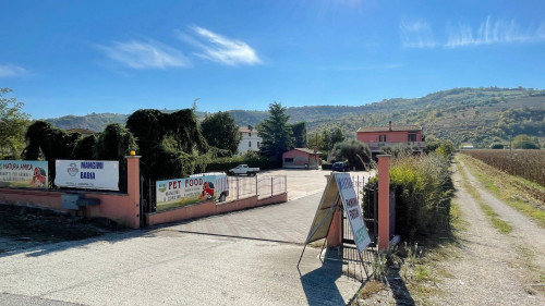 Casa cielo - terra in vendita a Controguerra