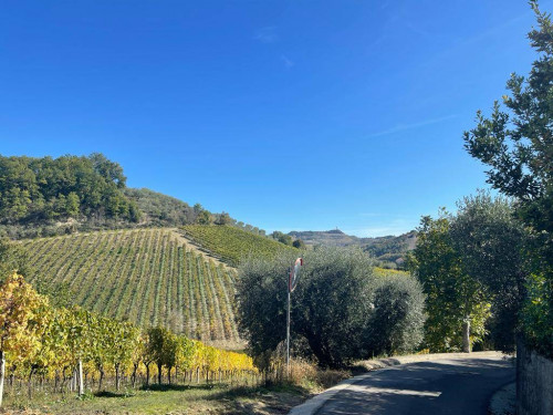 Rustico in vendita a Val Tesino, Ripatransone (AP)