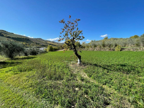 Rustico in vendita a Val Tesino, Ripatransone (AP)