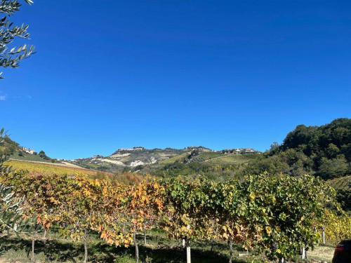 Rustico in vendita a Val Tesino, Ripatransone (AP)