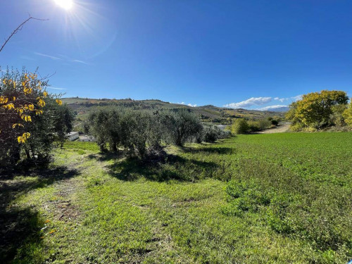 Rustico in vendita a Val Tesino, Ripatransone (AP)