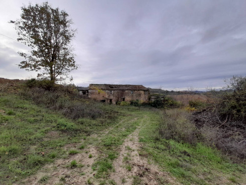 Casale Colonico in vendita a Ripatransone