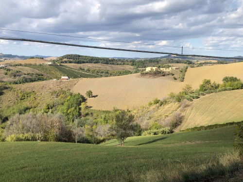 Terreno agricolo in vendita a Montalto Delle Marche (AP)