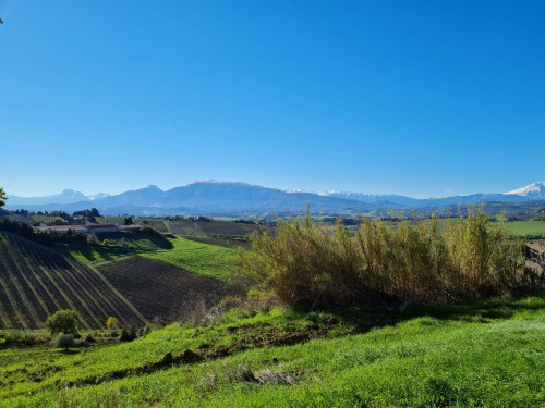 Casale Colonico in vendita a Offida