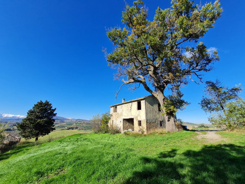 Casale Colonico in vendita a Offida