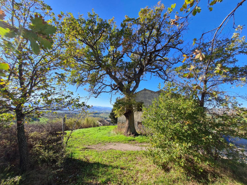 Casale Colonico in vendita a Offida