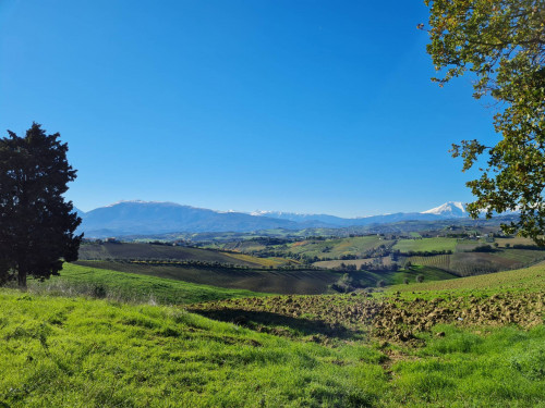 Casale Colonico in vendita a Offida