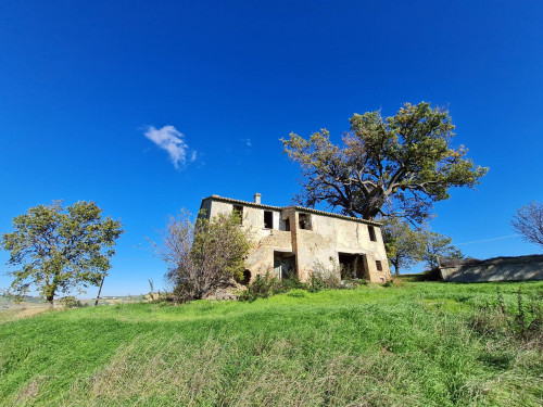 Casale Colonico in vendita a Offida