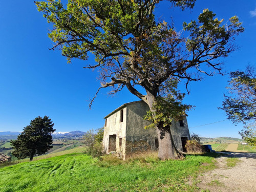 Casale Colonico in vendita a Offida