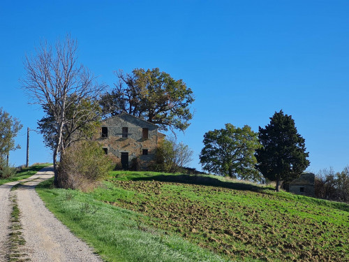 Rustico in vendita a Offida (AP)