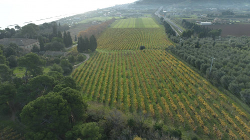 Villa singola in vendita a Cupra Marittima