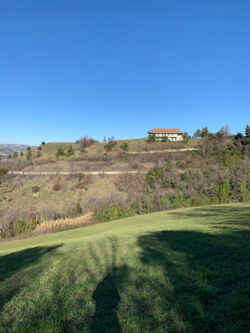 Terreno Agricolo in vendita a Ancarano