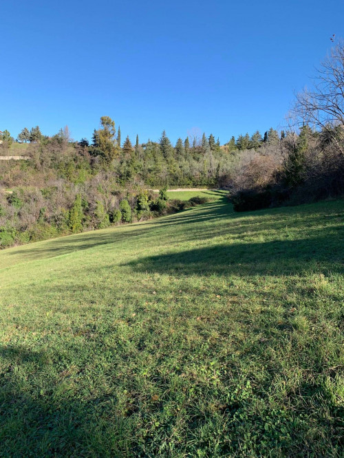 Terreno Agricolo in vendita a Ancarano