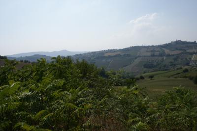 Casale Colonico in vendita a Monteprandone