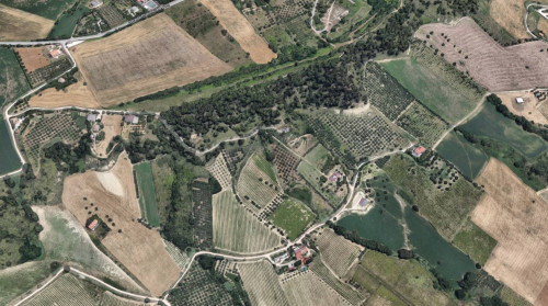 Terreno Agricolo (con / Senza Piccolo Prefabbricato) in Vendita a Monteprandone