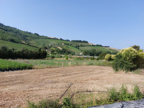 Terreno Agricolo in vendita a Ripatransone