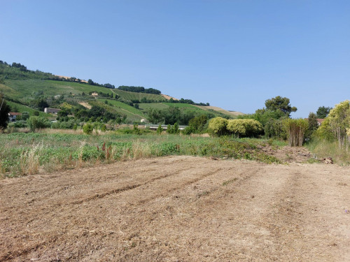 Terreno Agricolo in vendita a Ripatransone