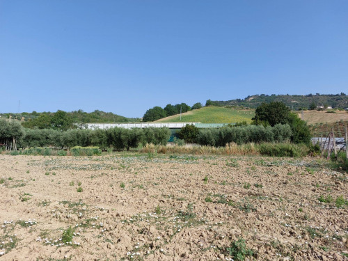 Terreno agricolo in vendita a Val Tesino, Ripatransone (AP)