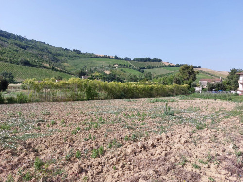 Terreno agricolo in vendita a Val Tesino, Ripatransone (AP)