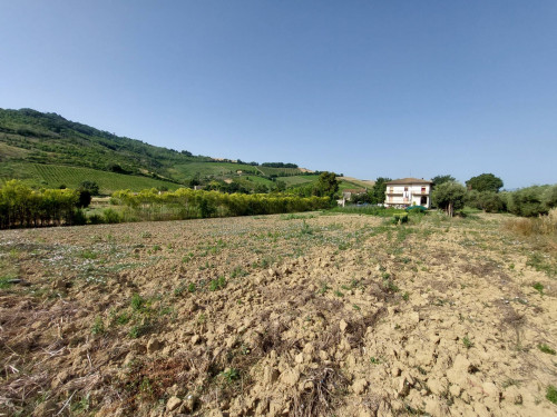 Terreno agricolo in vendita a Val Tesino, Ripatransone (AP)