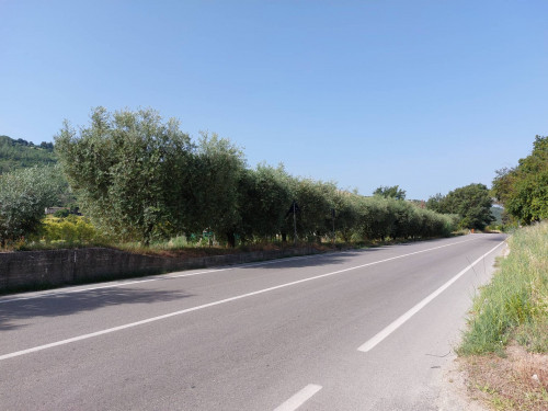 Terreno agricolo in vendita a Val Tesino, Ripatransone (AP)