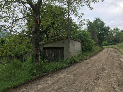 Terreno Agricolo (con / Senza Piccolo Prefabbricato) in vendita a Montemonaco