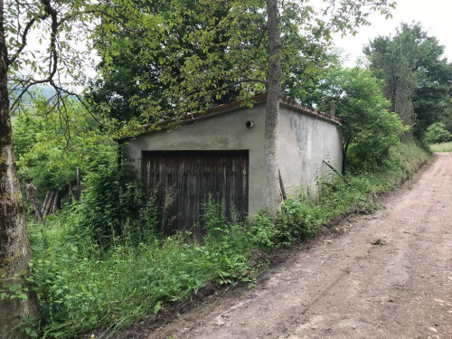 Terreno Agricolo (con / Senza Piccolo Prefabbricato) in vendita a Montemonaco