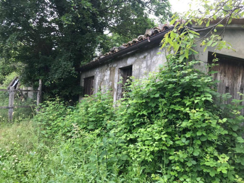 Terreno Agricolo (con / Senza Piccolo Prefabbricato) in vendita a Montemonaco