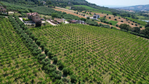 Villa singola in vendita a Colonnella