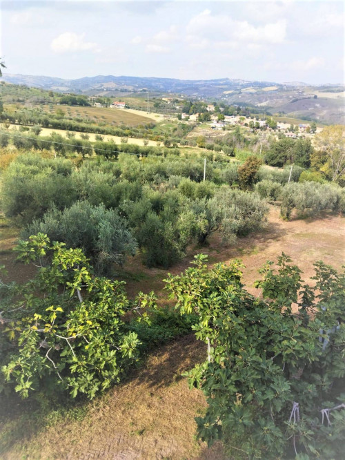 Rustico in vendita a Piattoni, Castel Di Lama (AP)