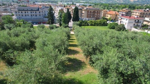 Villa singola in vendita a Monsampolo del Tronto